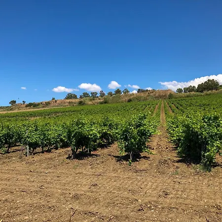 Fattoria Manostalla Chiarelli Vakantieboerderij Balestrate