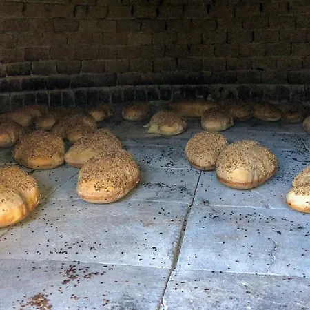 Fattoria Manostalla Chiarelli Vakantieboerderij