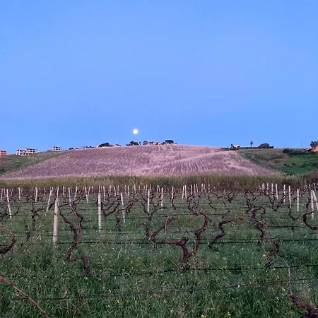 Alloggio per agriturismo Fattoria Manostalla Chiarelli *