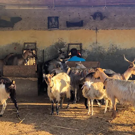 Fattoria Manostalla Chiarelli * Balestrate