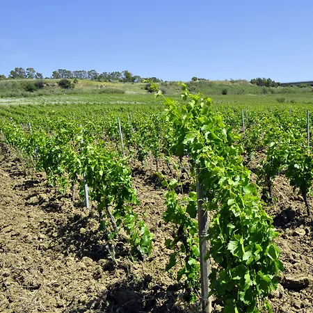 Farmház Fattoria Manostalla Chiarelli *