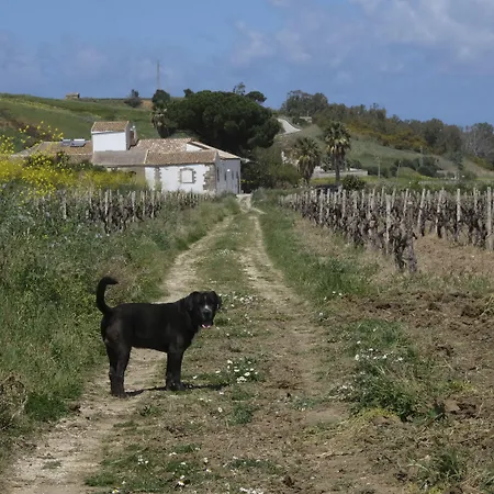 Fattoria Manostalla Chiarelli