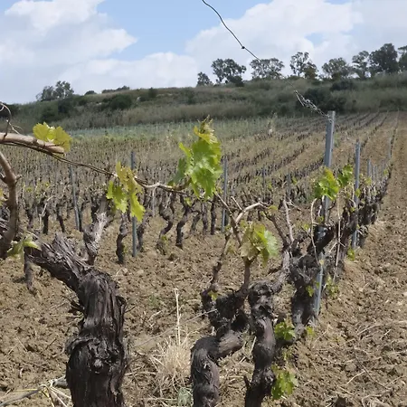 Farmház Fattoria Manostalla Chiarelli *