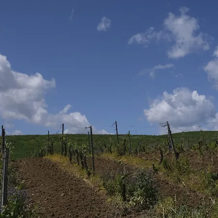 Fattoria Manostalla Chiarelli Farmház *
