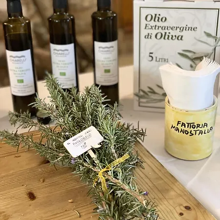 Fattoria Manostalla Chiarelli
