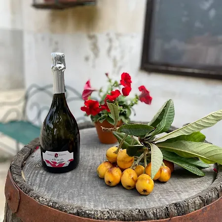 Fattoria Manostalla Chiarelli