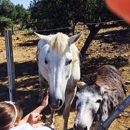 Alloggio per agriturismo Fattoria Manostalla Chiarelli