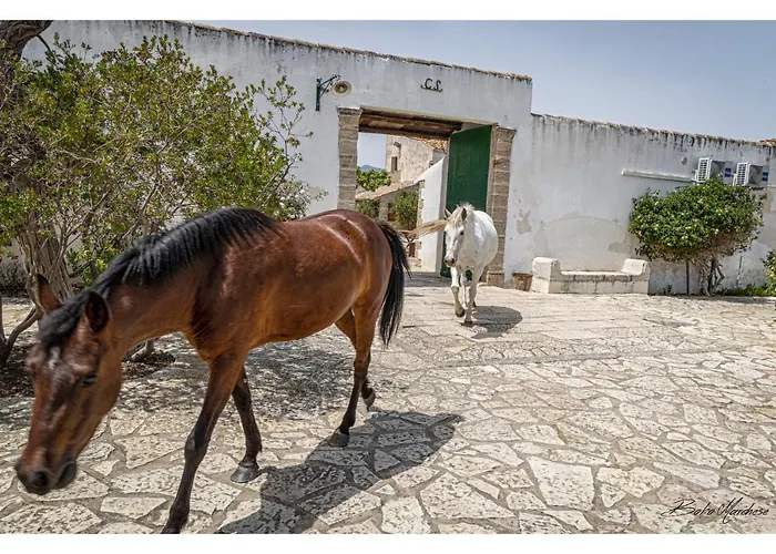 Fattoria Manostalla Chiarelli *