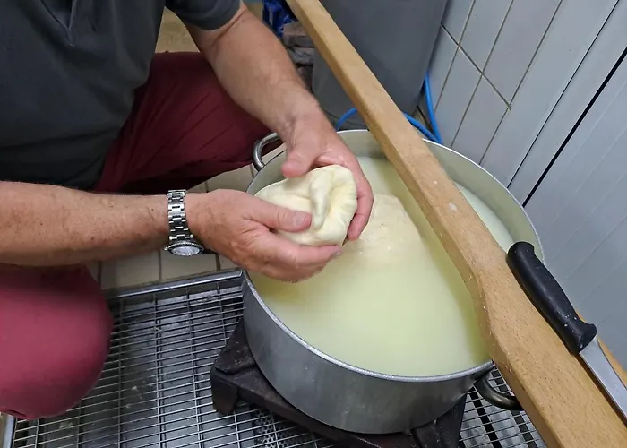 Fattoria Manostalla Chiarelli 农家乐