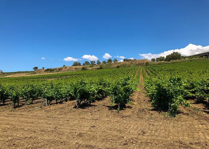 Fattoria Manostalla Chiarelli 农家乐 巴莱斯特拉泰