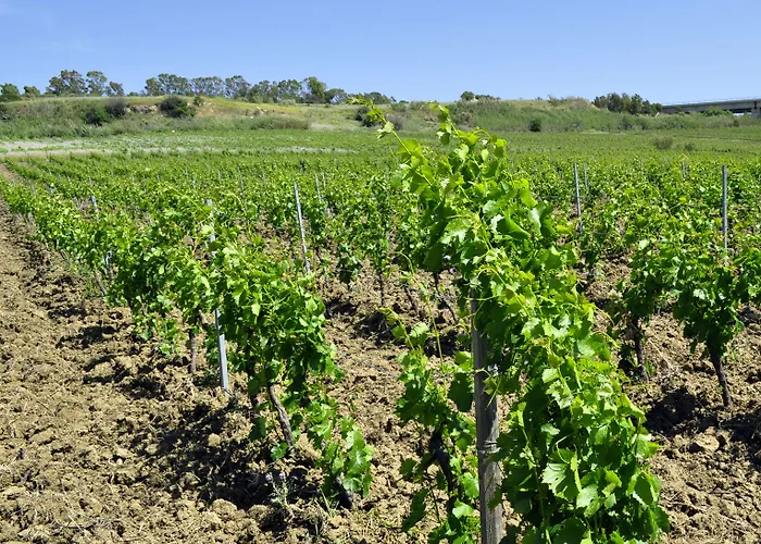 农家乐 Fattoria Manostalla Chiarelli *