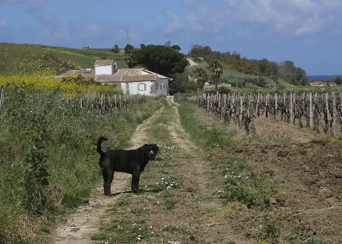 Fattoria Manostalla Chiarelli