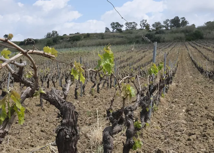 农家乐 Fattoria Manostalla Chiarelli *