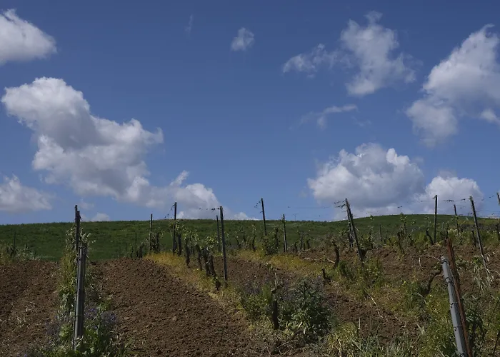 Fattoria Manostalla Chiarelli 农家乐 *